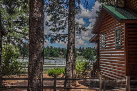 2729 Covered Wagon Trl, Overgaard, AZ 85933 photo 40
