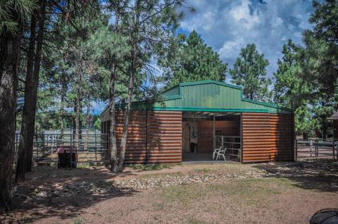2729 Covered Wagon Trl, Overgaard, AZ 85933 photo 59