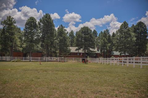 2729 Covered Wagon Trl, Overgaard, AZ 85933 photo 73