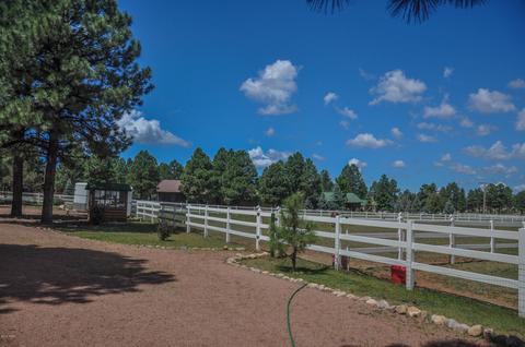 2729 Covered Wagon Trl, Overgaard, AZ 85933 photo 51