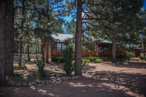 2729 Covered Wagon Trl, Overgaard, AZ 85933 photo 53