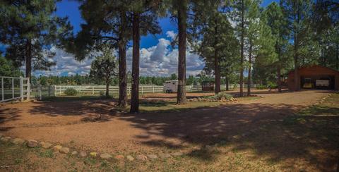2729 Covered Wagon Trl, Overgaard, AZ 85933 photo 80