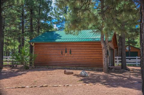 2729 Covered Wagon Trl, Overgaard, AZ 85933 photo 8