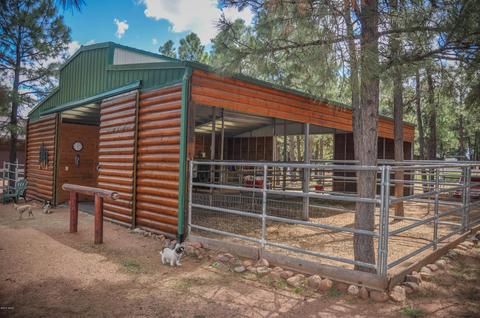 2729 Covered Wagon Trl, Overgaard, AZ 85933 photo 62