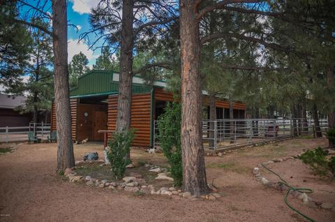 2729 Covered Wagon Trl, Overgaard, AZ 85933 photo 60