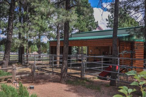2729 Covered Wagon Trl, Overgaard, AZ 85933 photo 44