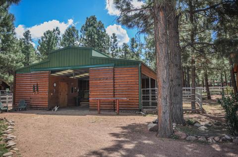 2729 Covered Wagon Trl, Overgaard, AZ 85933 photo 52