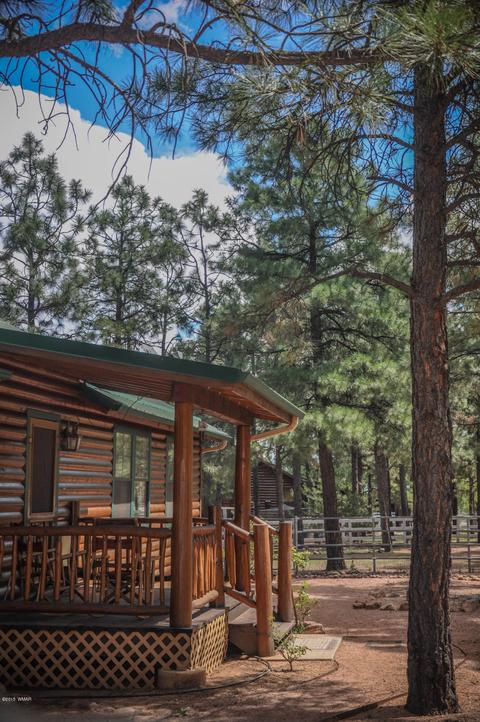 2729 Covered Wagon Trl, Overgaard, AZ 85933 photo 39