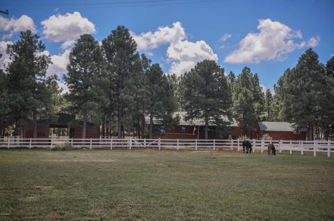 2729 Covered Wagon Trl, Overgaard, AZ 85933 photo 74