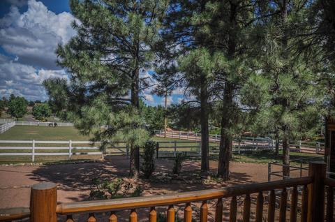 2729 Covered Wagon Trl, Overgaard, AZ 85933 photo 47