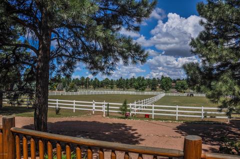 2729 Covered Wagon Trl, Overgaard, AZ 85933 photo 46