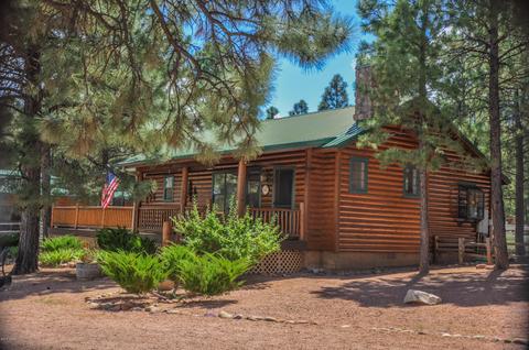 2729 Covered Wagon Trl, Overgaard, AZ 85933 photo 3