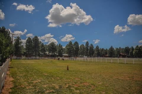 2729 Covered Wagon Trl, Overgaard, AZ 85933 photo 70