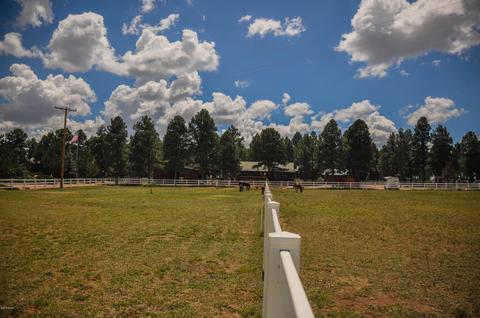 2729 Covered Wagon Trl, Overgaard, AZ 85933 photo 71