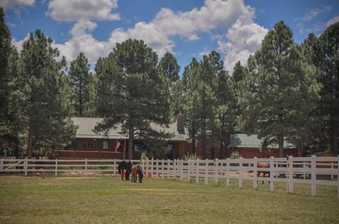 2729 Covered Wagon Trl, Overgaard, AZ 85933 photo 72