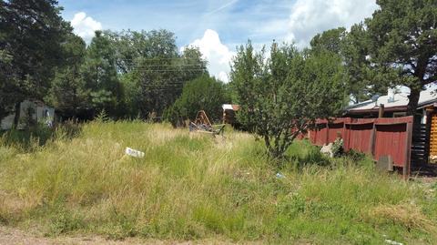 3400 Apache Dr, Overgaard, AZ 85933 photo 1