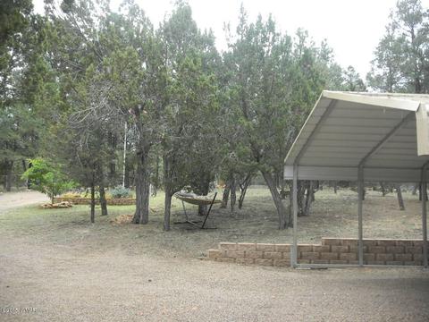 3386 Turkey Run, Overgaard, AZ 85933 photo 9