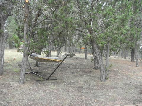 3386 Turkey Run, Overgaard, AZ 85933 photo 49