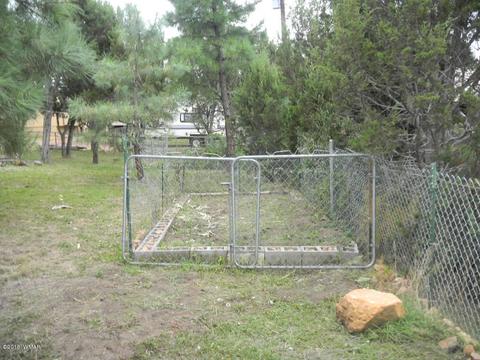 3386 Turkey Run, Overgaard, AZ 85933 photo 37