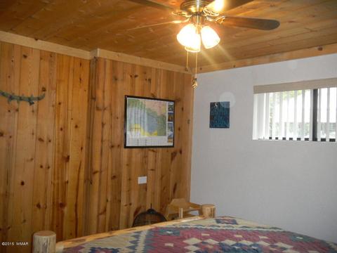 3386 Turkey Run, Overgaard, AZ 85933 photo 21