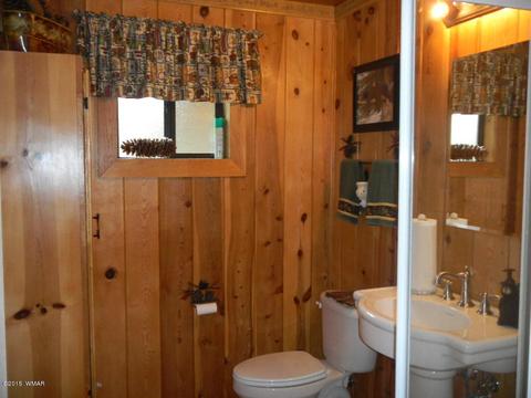 3386 Turkey Run, Overgaard, AZ 85933 photo 25