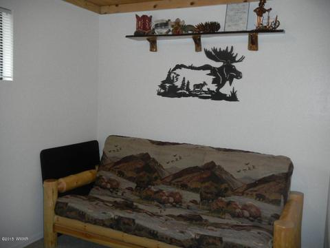 3386 Turkey Run, Overgaard, AZ 85933 photo 18