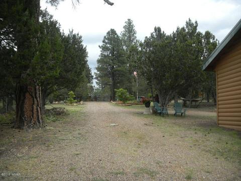 3386 Turkey Run, Overgaard, AZ 85933 photo 42