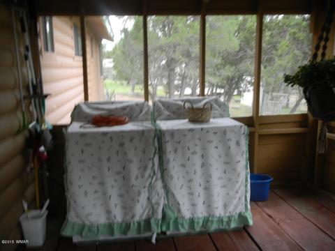 3386 Turkey Run, Overgaard, AZ 85933 photo 33