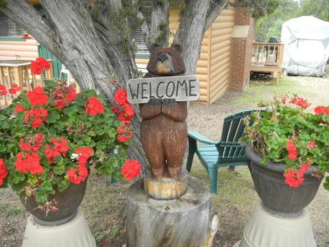 3386 Turkey Run, Overgaard, AZ 85933 photo 5