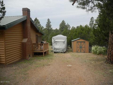 3386 Turkey Run, Overgaard, AZ 85933 photo 4