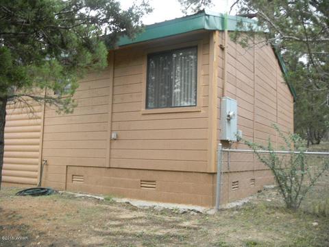 3386 Turkey Run, Overgaard, AZ 85933 photo 39