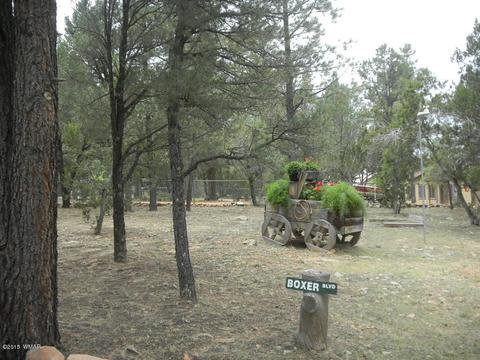 3386 Turkey Run, Overgaard, AZ 85933 photo 2