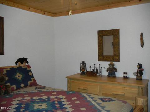 3386 Turkey Run, Overgaard, AZ 85933 photo 22