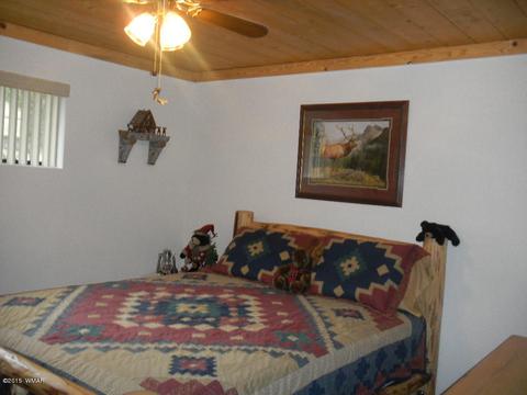 3386 Turkey Run, Overgaard, AZ 85933 photo 20