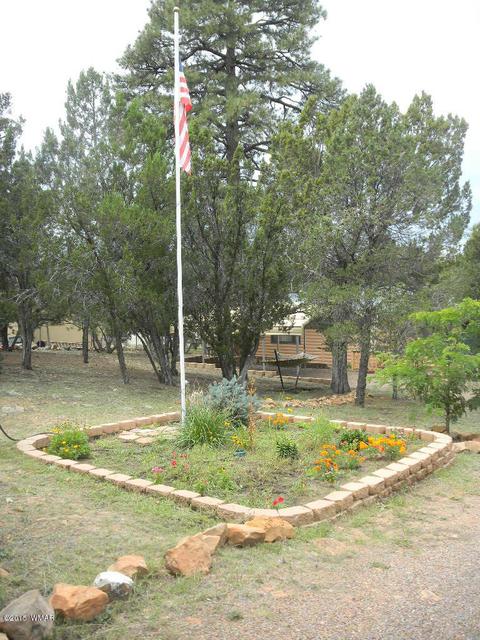 3386 Turkey Run, Overgaard, AZ 85933 photo 3