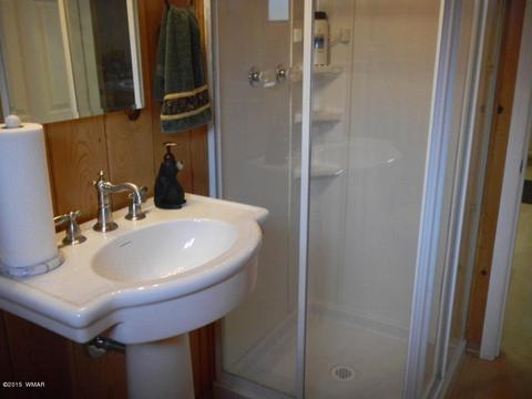 3386 Turkey Run, Overgaard, AZ 85933 photo 26