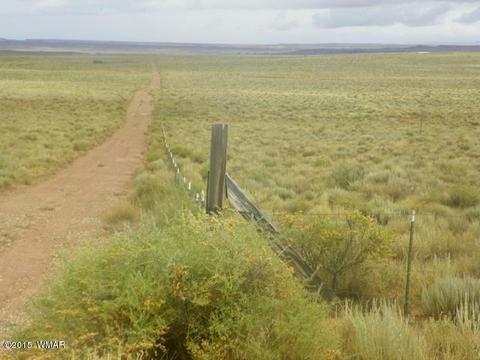 5641 Kohl Rd, Snowflake, AZ 85937 photo 4