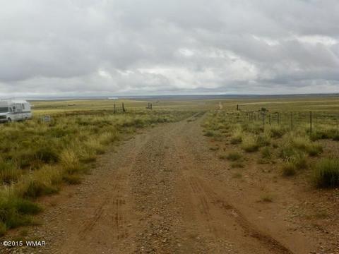 5641 Kohl Rd, Snowflake, AZ 85937 photo 6