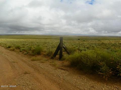5641 Kohl Rd, Snowflake, AZ 85937 photo 5