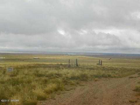 5641 Kohl Rd, Snowflake, AZ 85937 photo 2