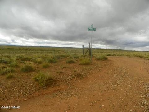 5641 Kohl Rd, Snowflake, AZ 85937 photo 7
