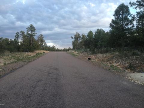 3335 Sawmill Ridge Loop, Heber, AZ 85928 photo 6