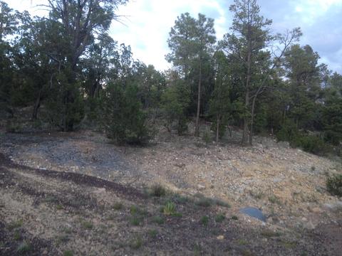 3335 Sawmill Ridge Loop, Heber, AZ 85928 photo 4