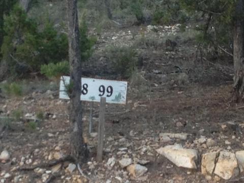 3335 Sawmill Ridge Loop, Heber, AZ 85928 photo 2