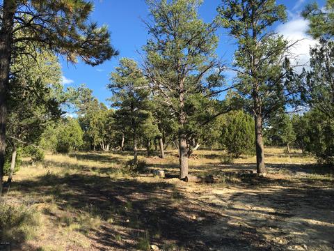 3335 Sawmill Ridge Loop, Heber, AZ 85928 photo 1