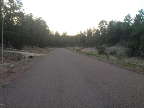 3335 Sawmill Ridge Loop, Heber, AZ 85928 photo 7