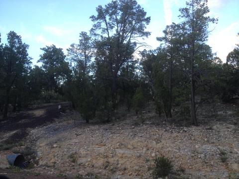 3335 Sawmill Ridge Loop, Heber, AZ 85928 photo 8
