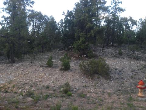 3335 Sawmill Ridge Loop, Heber, AZ 85928 photo 5