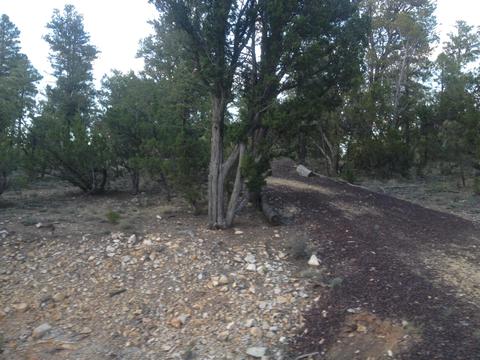 3335 Sawmill Ridge Loop, Heber, AZ 85928 photo 3