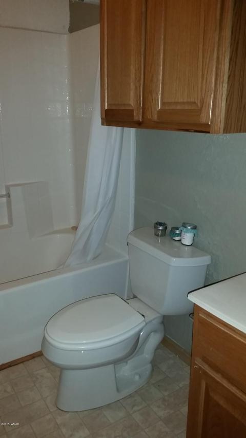 344 E 12th St, Eagar, AZ 85925 photo 16